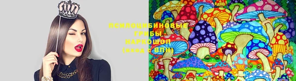 сатива Кулебаки