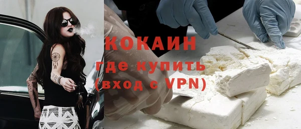 сатива Кулебаки