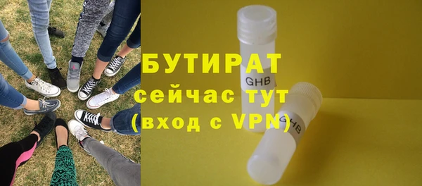 сатива Кулебаки