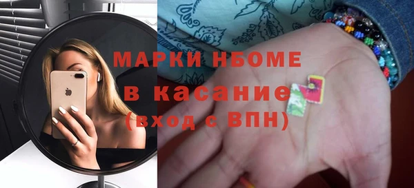 сатива Кулебаки