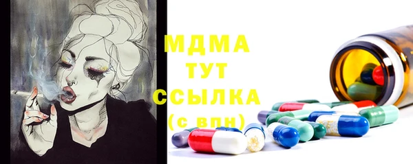 сатива Кулебаки