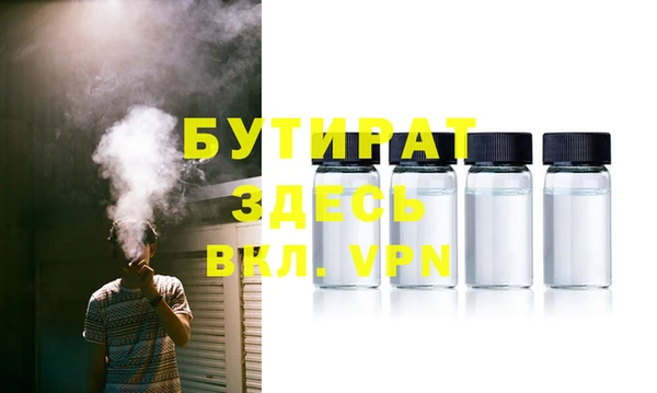 сатива Кулебаки