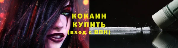 ПСИЛОЦИБИНОВЫЕ ГРИБЫ Кукмор