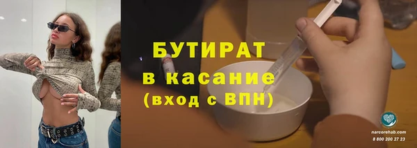 сатива Кулебаки