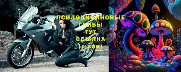 сатива Кулебаки