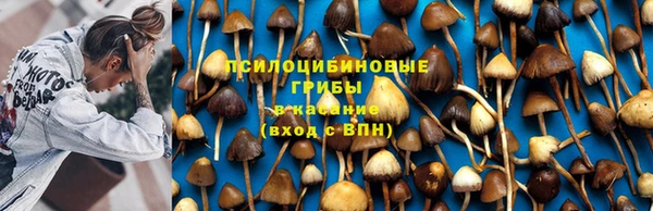 ПСИЛОЦИБИНОВЫЕ ГРИБЫ Кукмор