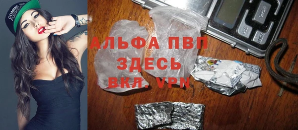 сатива Кулебаки