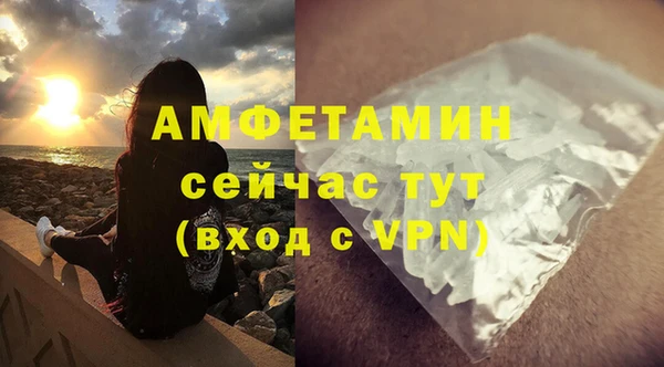 сатива Кулебаки