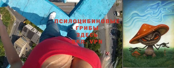 ПСИЛОЦИБИНОВЫЕ ГРИБЫ Кукмор