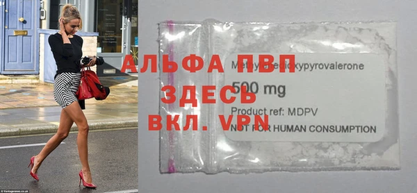 сатива Кулебаки