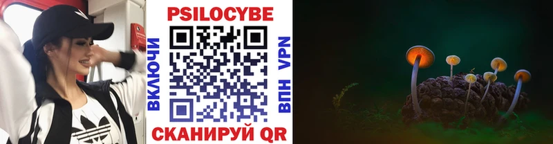 Галлюциногенные грибы Psilocybe  Купить где  Инсар 